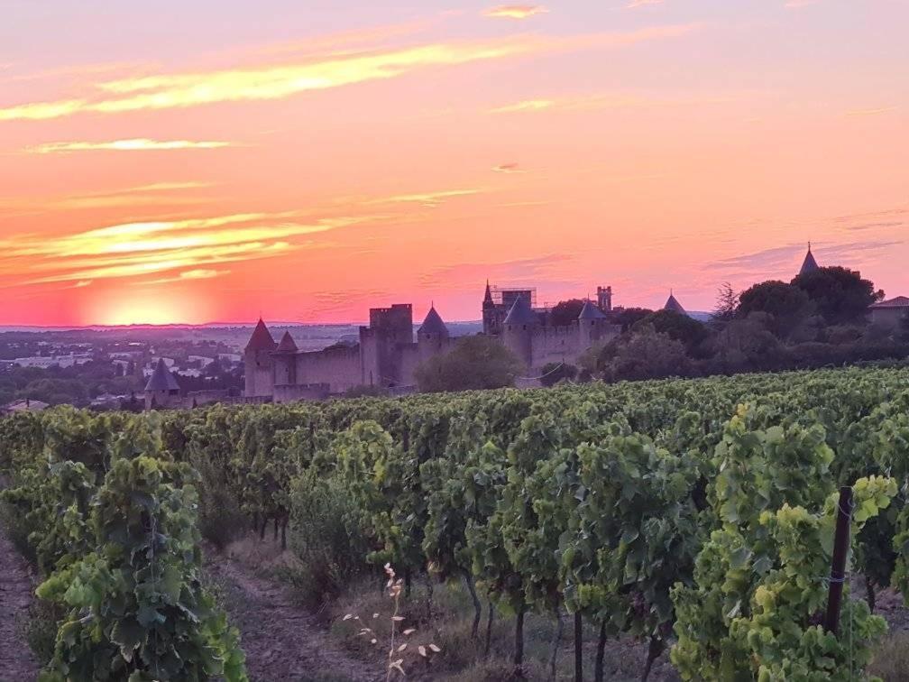 فيلا Meuble De Tourisme 4 Etoiles Logis Riquet Proche De Carcassonne Caux-et-Sauzens المظهر الخارجي الصورة